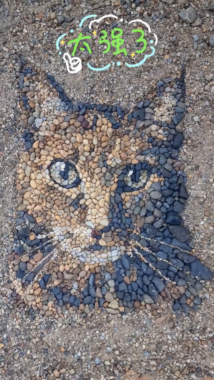 艺术家用鹅卵石拼出超逼真猫猫肖像