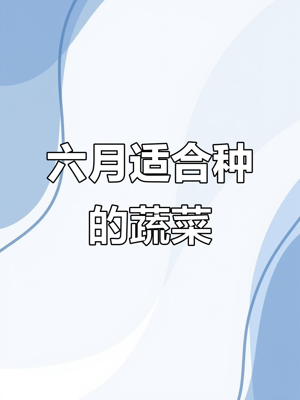 六七月种什么蔬菜最合适?这些品种最适合夏季种植