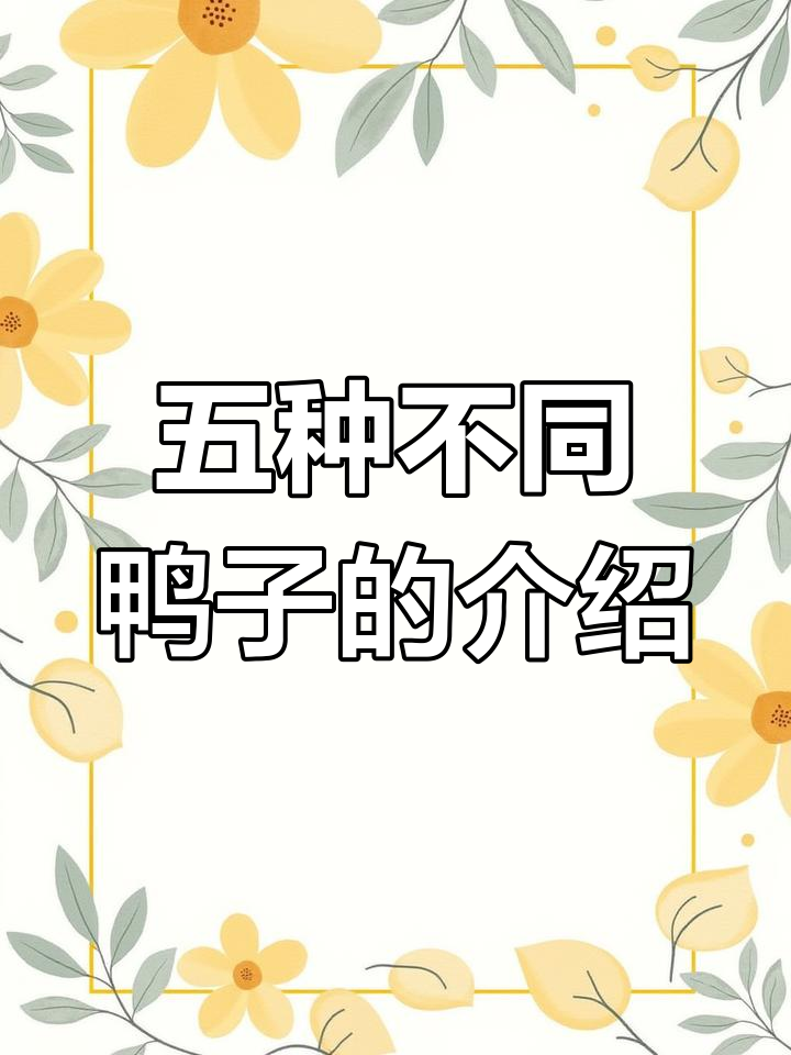 各种可爱鸭子大集合,折纸制作技巧揭秘