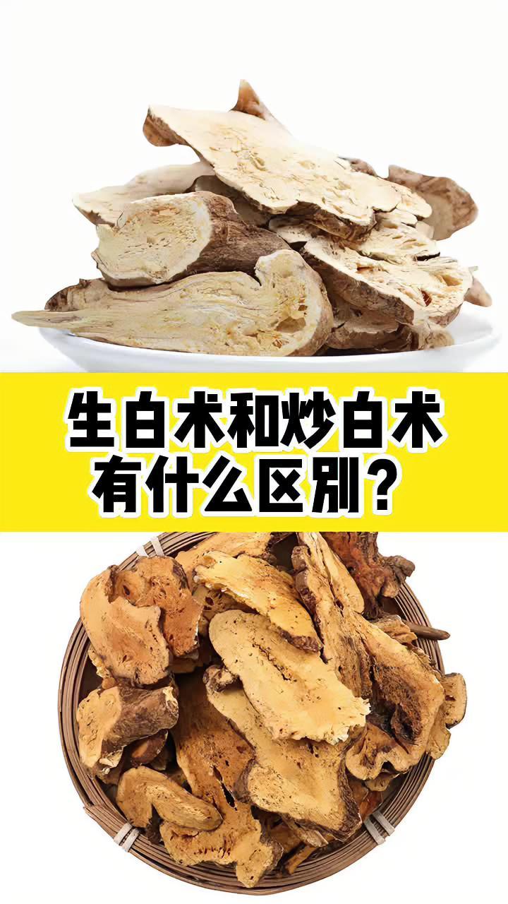 白术生用和炒用,有什么区别?中药 中医科普 学中医