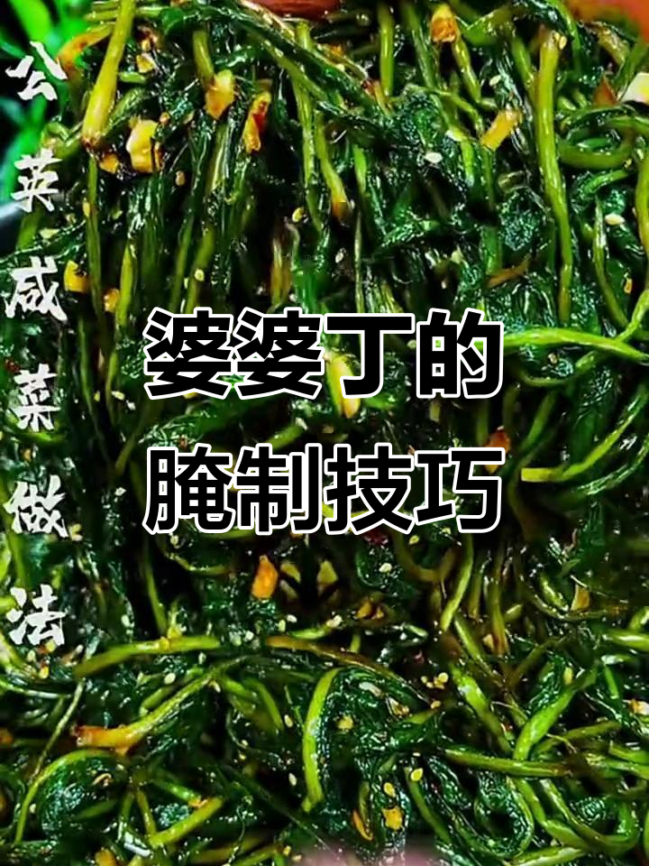 春季野菜婆婆丁,教你简单腌制方法,去火又美味