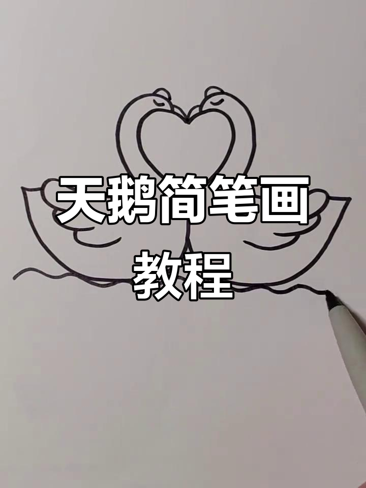 轻松画出可爱天鹅,简单又有趣
