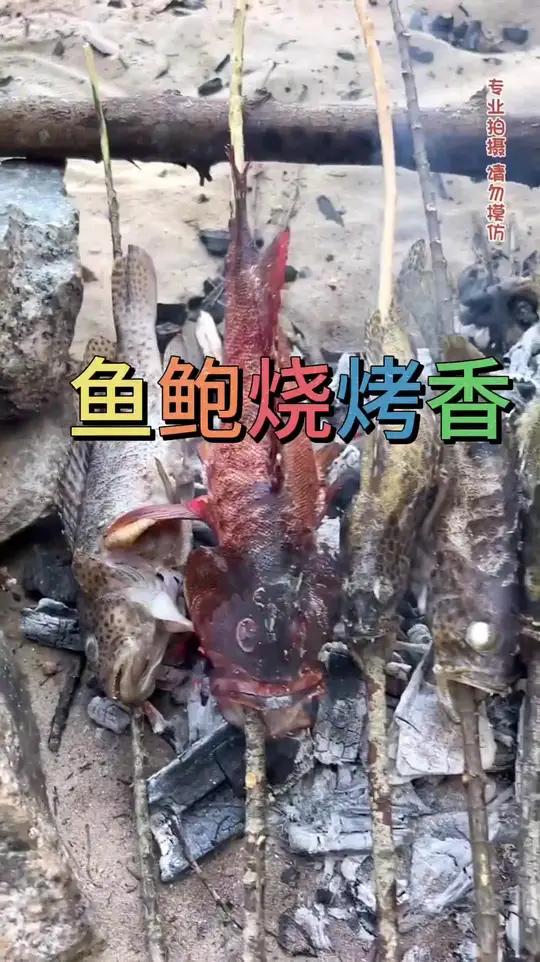 今天我们荒岛求生,运气不错,赚到了好多鱼和鲍鱼,后来把它做成烧烤,味道真的太鲜了,感谢大家