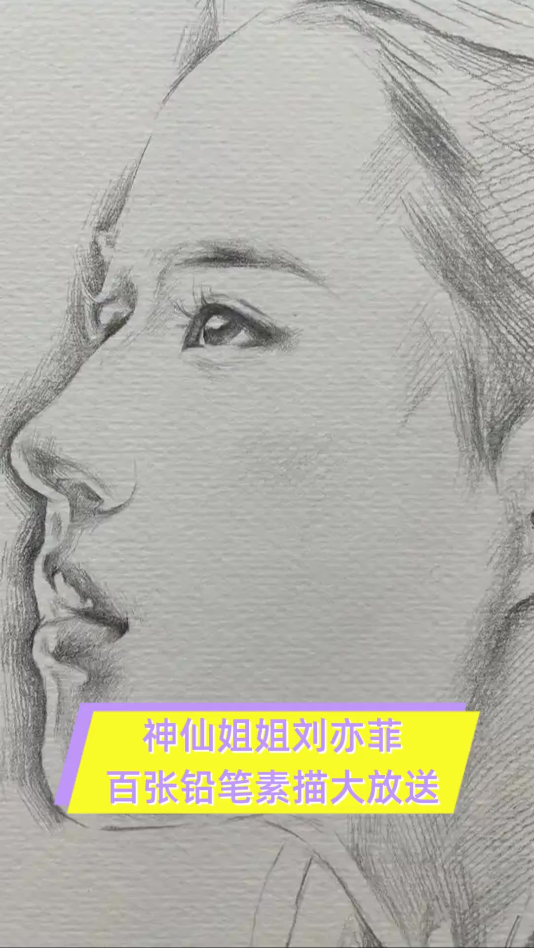 神仙姐姐刘亦菲,百张铅笔素描大放送