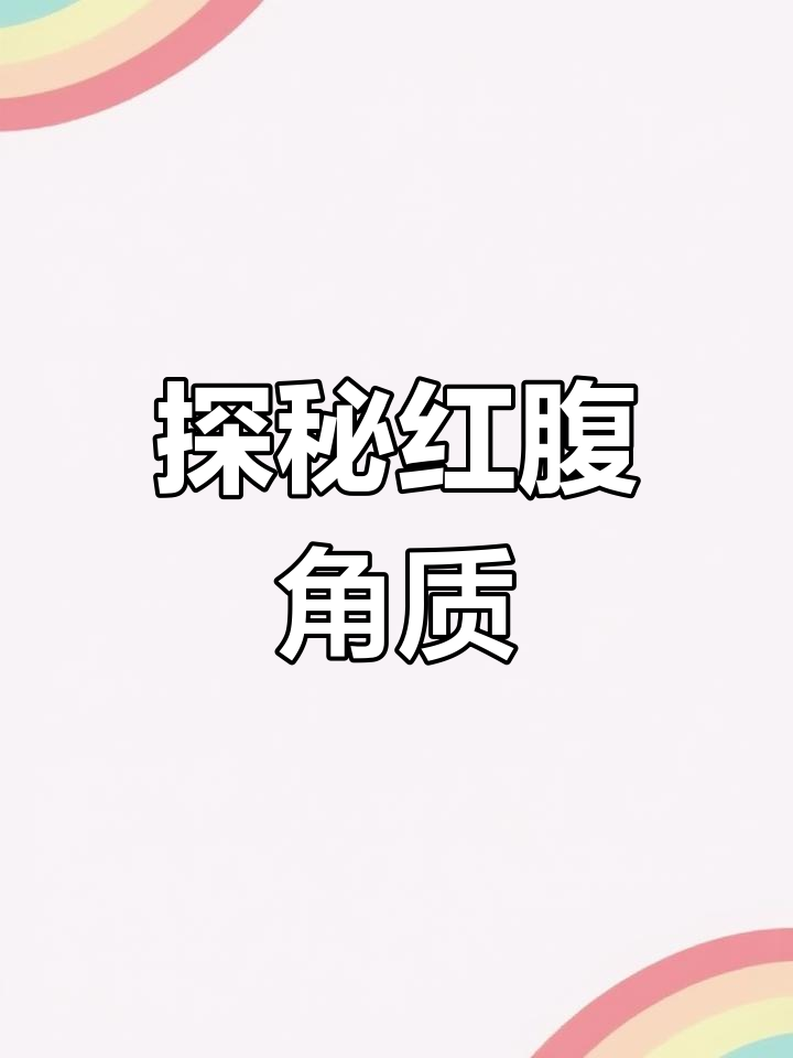 红腹角雉:藏匿深山的美丽小野鸡