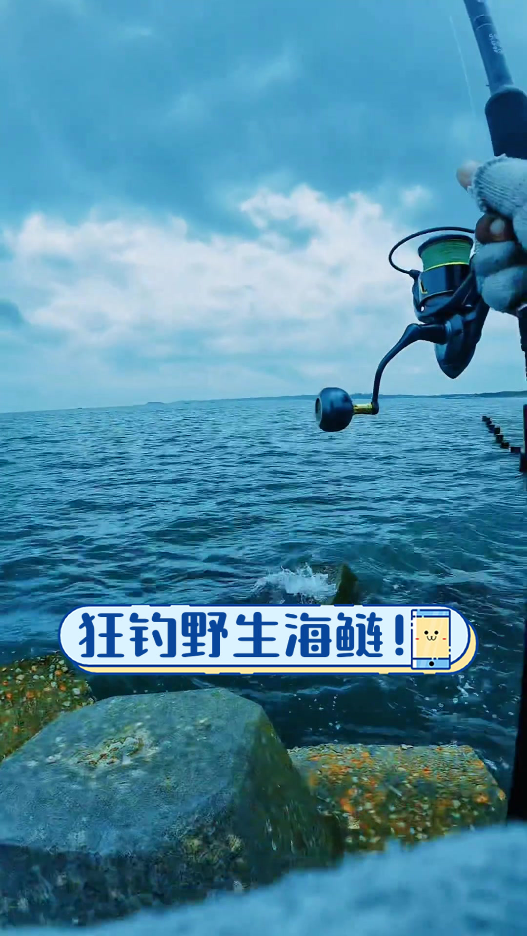 狂钓野生海鲢!