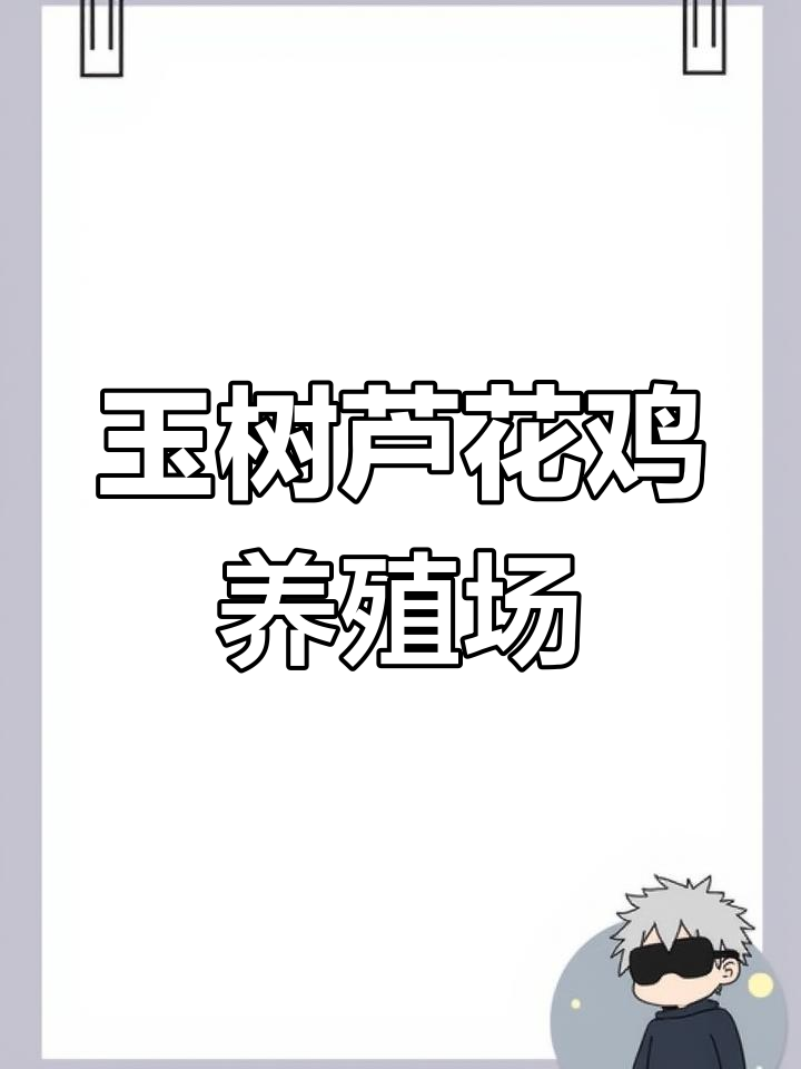 玉树州芦花鸡养殖基地,纯种芦花鸡购买指南