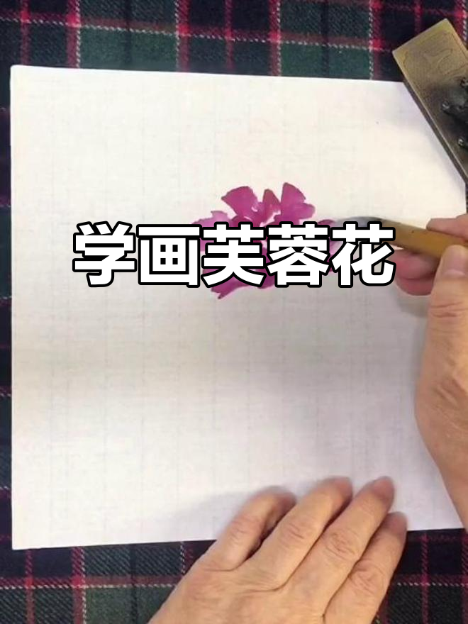 梅若先生教你画芙蓉花,国画技巧大揭秘