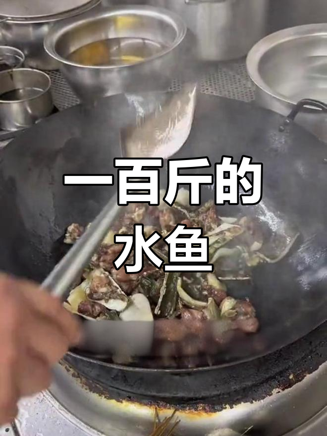 见过最大的水鱼,竟然重达100多斤!