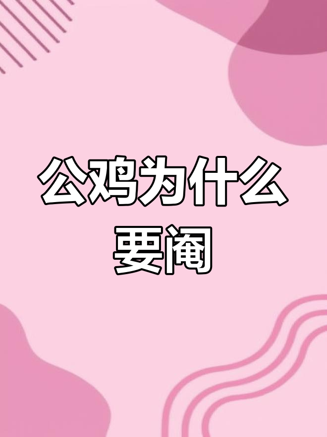 农村公鸡为何常被阉?揭秘背后的原因