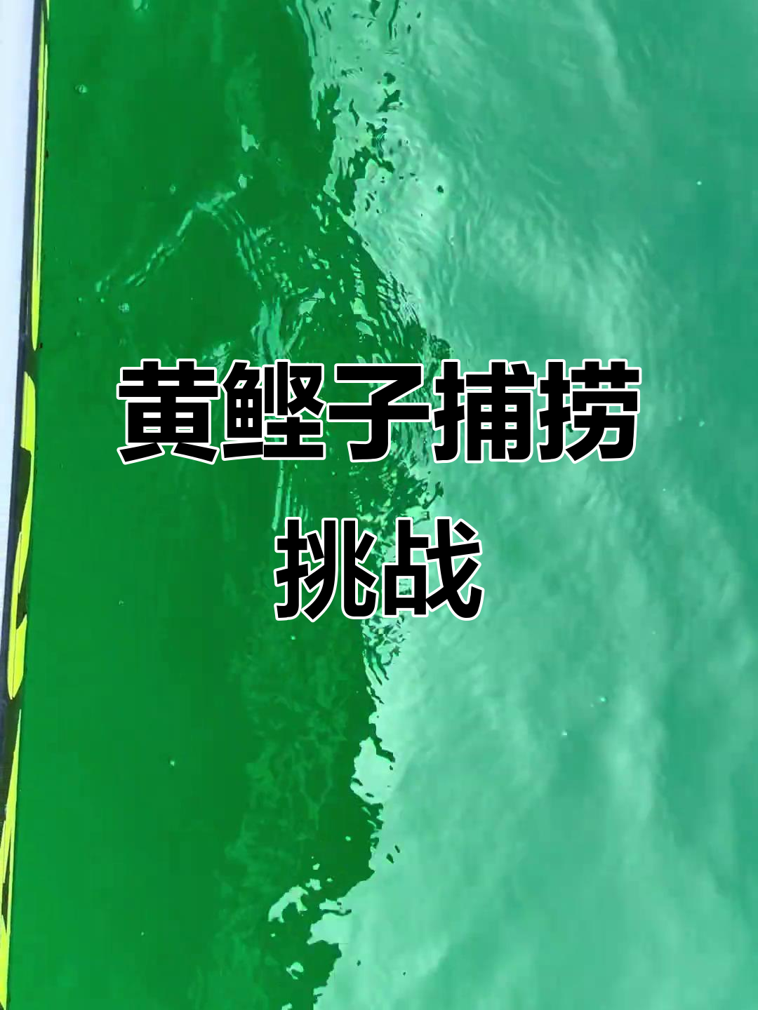 威海近海钓黄鲣子,目测重量惊人!如何轻松捕获?