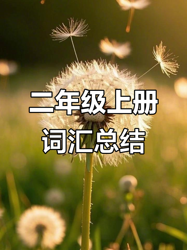 二年级语文复习:词语搭配与知识归纳