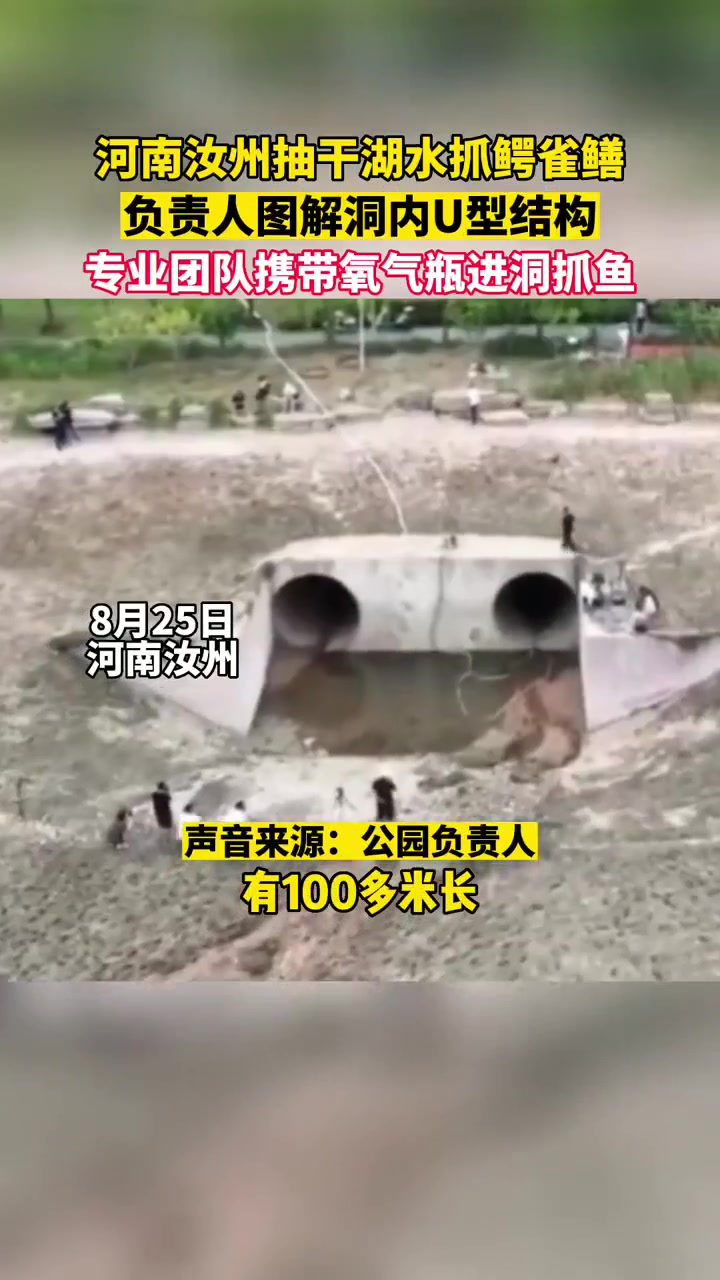 河南汝州抽干湖水抓鳄雀鳝,负责人图解洞内U型结构,专业团队携带氧气瓶进洞抓鱼