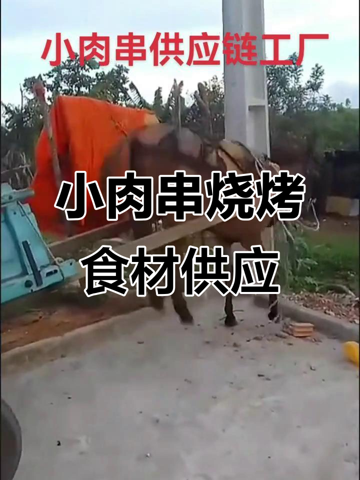 昭通小肉串烧烤食材供应链工厂,半成品批发直供