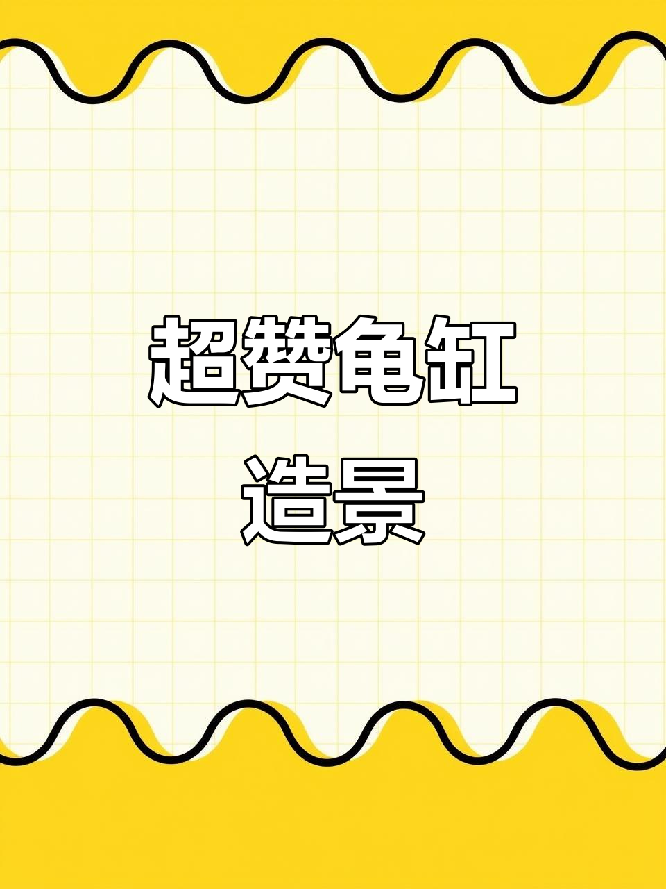乌龟缸造景全攻略：洞穴、爬坡与晒台设计