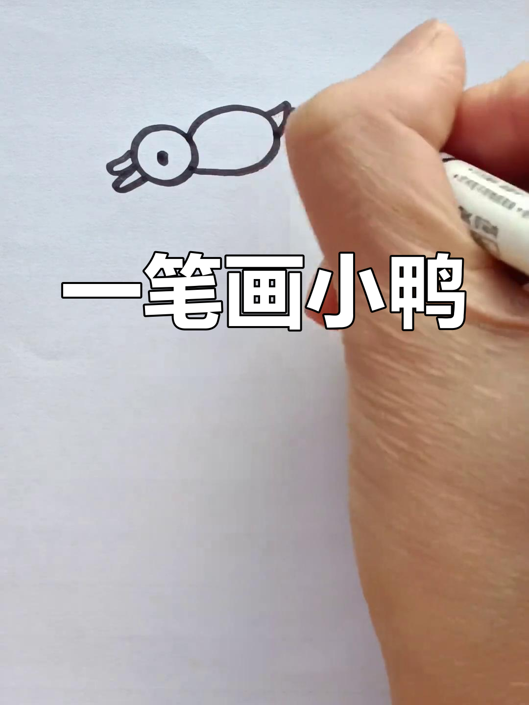 轻松学画小鸭子,简单又有趣