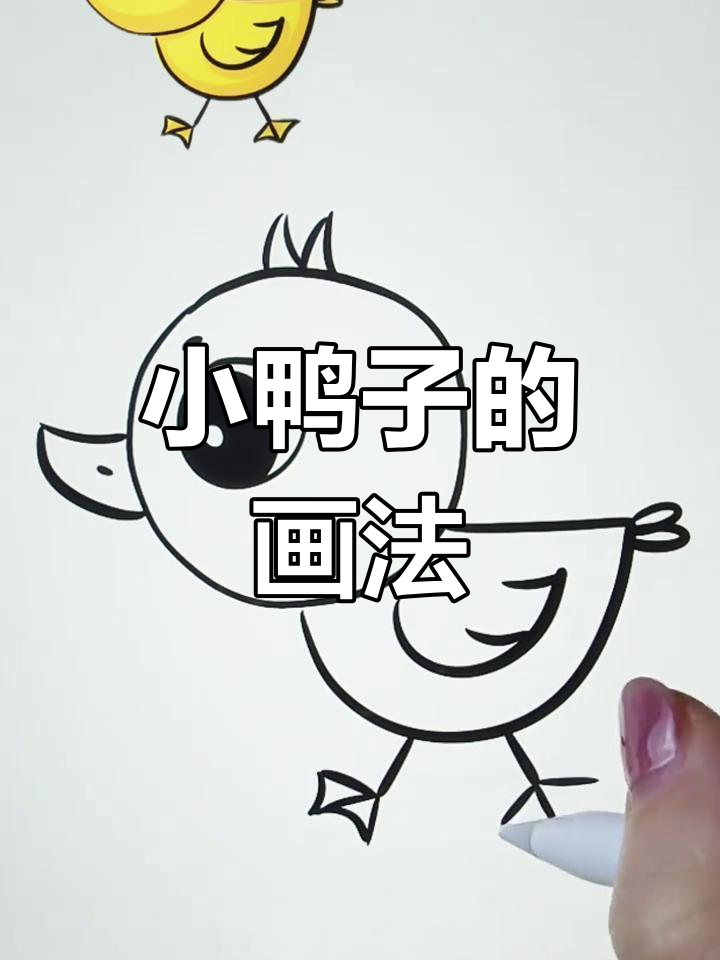 简单步骤画出小鸭子