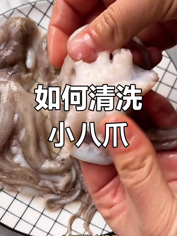 八爪鱼清理全攻略,教你如何轻松处理内脏和牙齿
