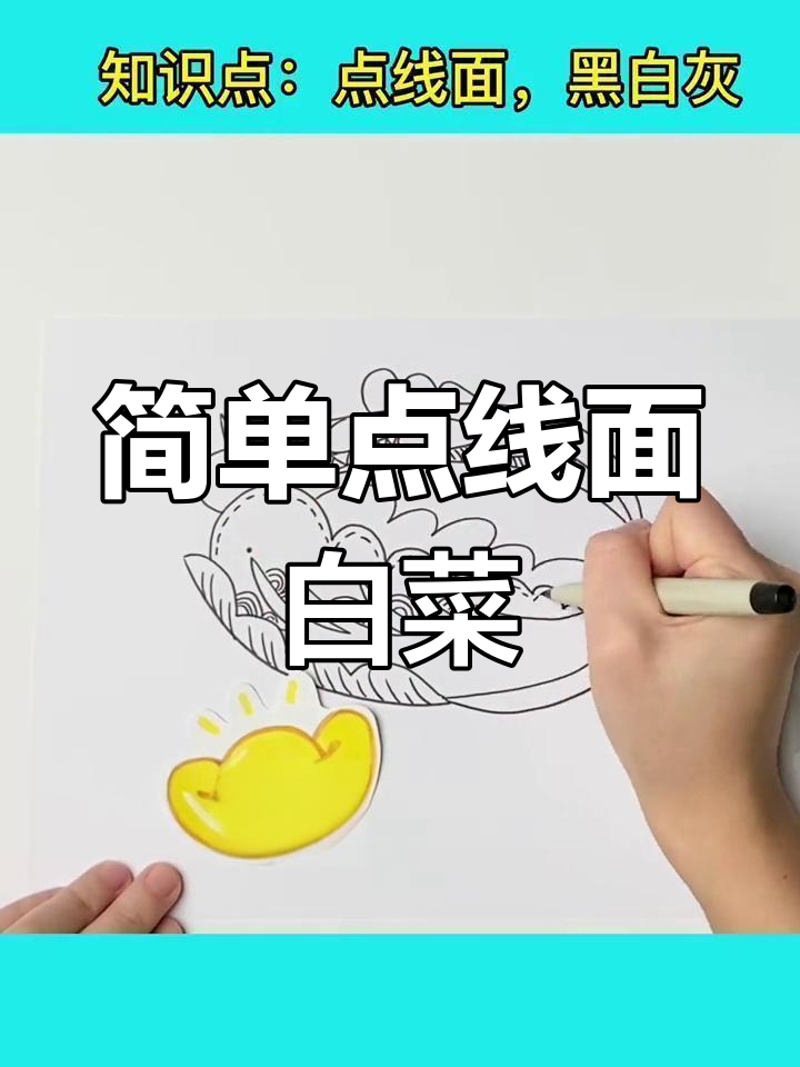 点线面创意白菜,轻松学会黑白灰艺术