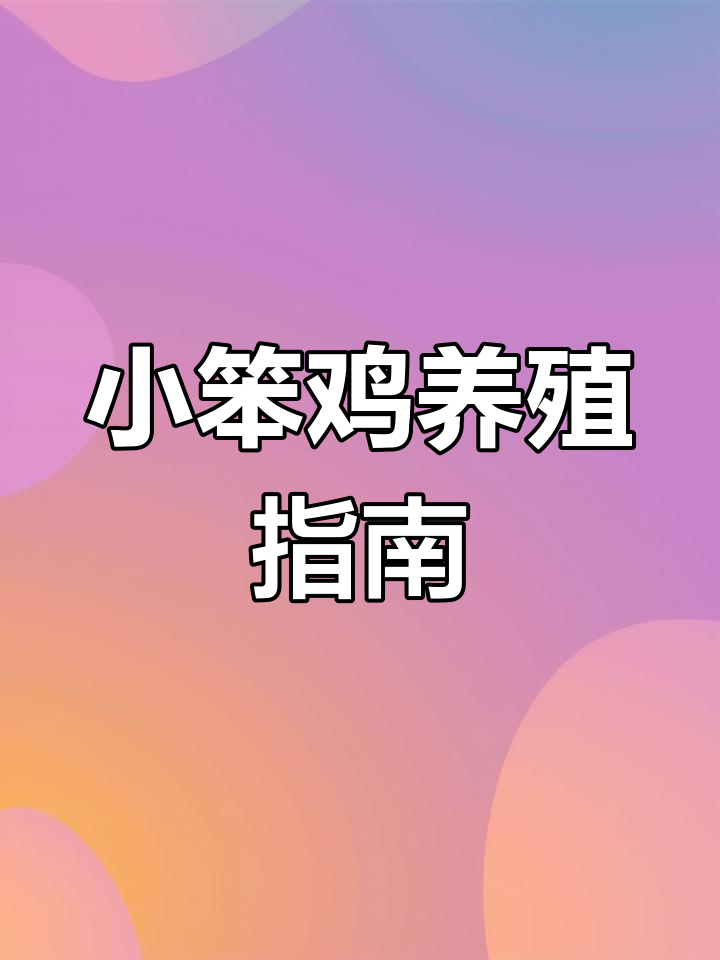 散养土鸡品种介绍:青椒小笨鸡