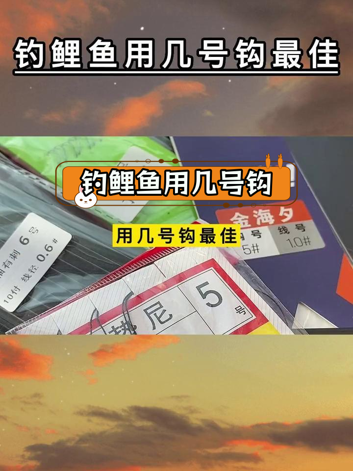 钓鲤鱼选钩指南:不同型号对比