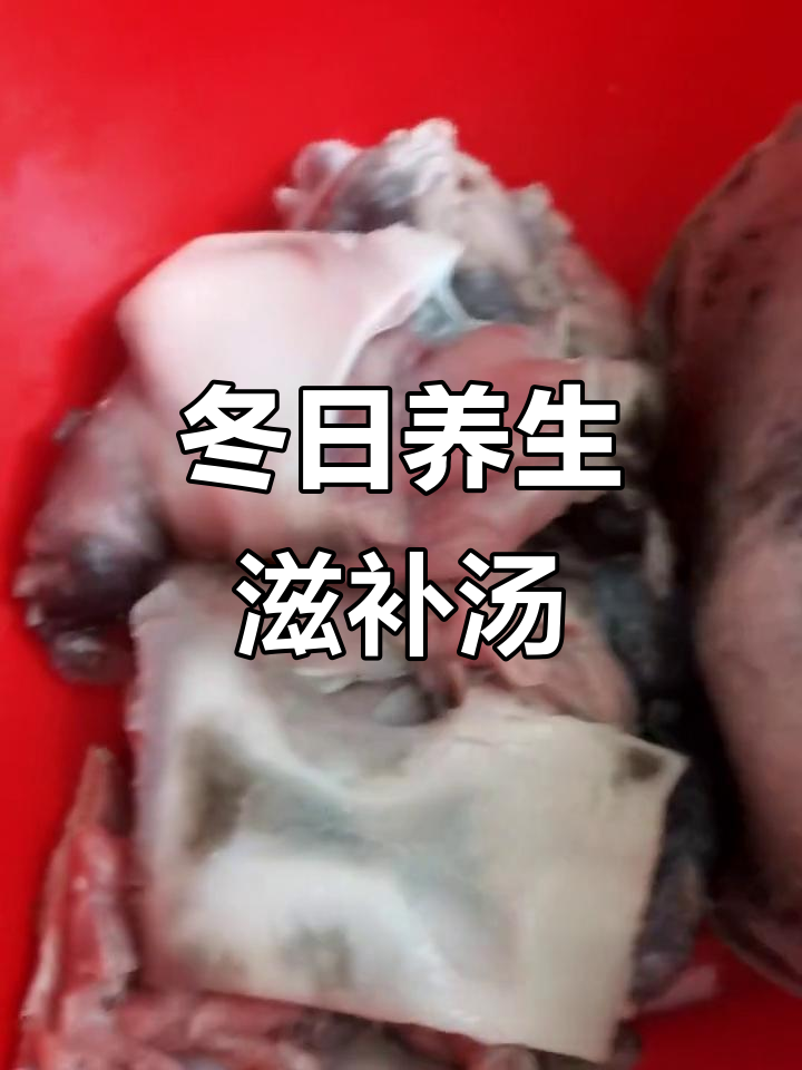 冬季滋补汤,甲鱼、小鸡与红菇炖出满满营养