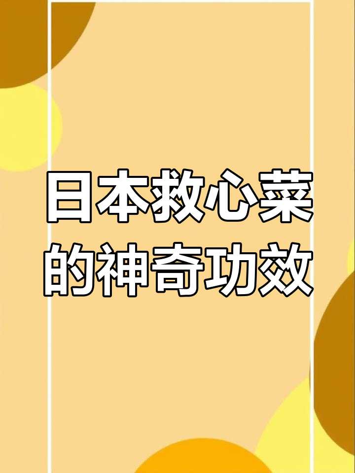 救心菜在日本备受推崇,三高克星,美容助眠,清洁血液