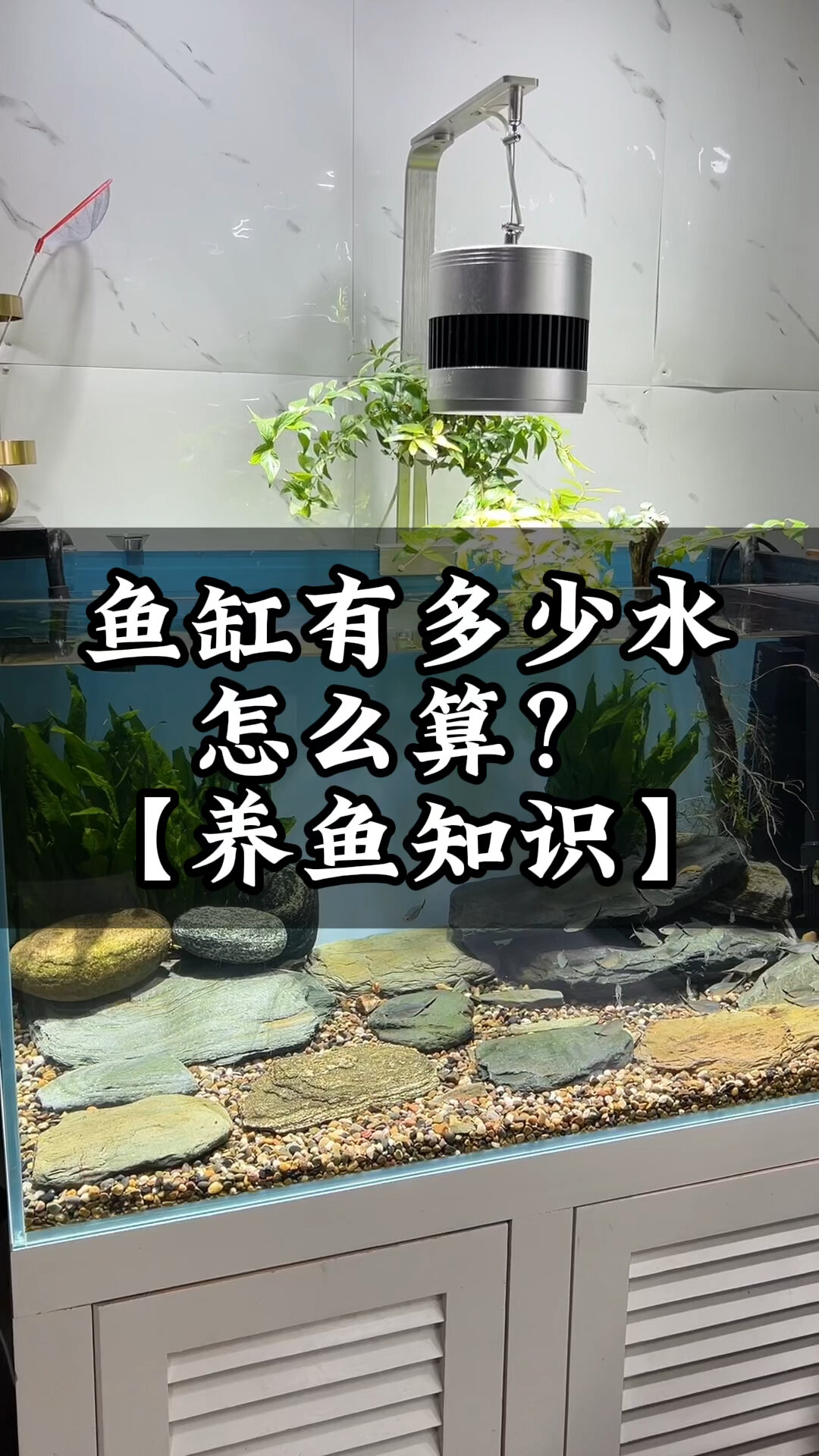 鱼缸里有多少升水?鱼缸里面有多少斤水?怎么算?