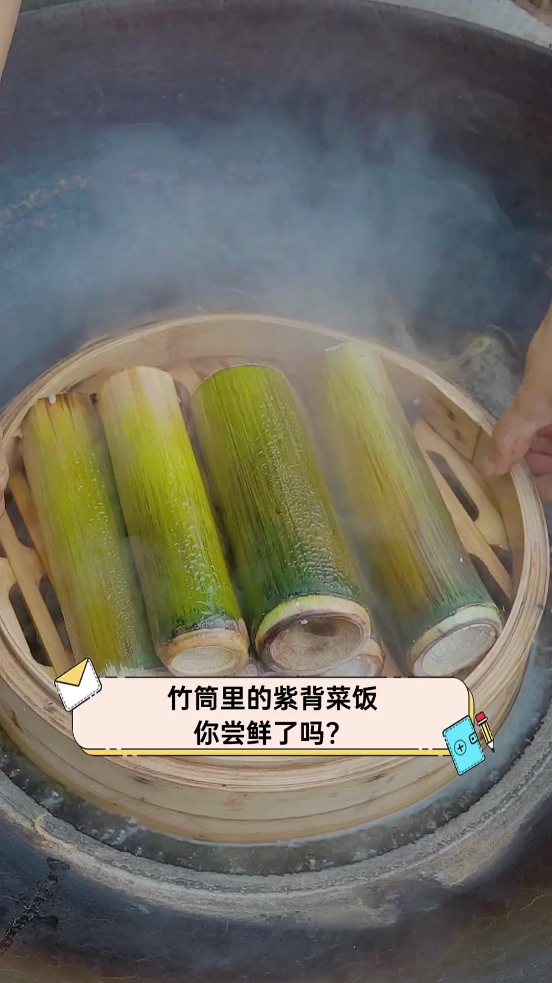 竹筒里的紫背菜饭,你尝鲜了吗?