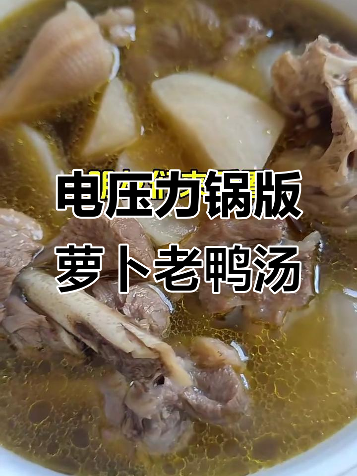 简单又鲜美的萝卜老鸭汤,电炖锅轻松搞定