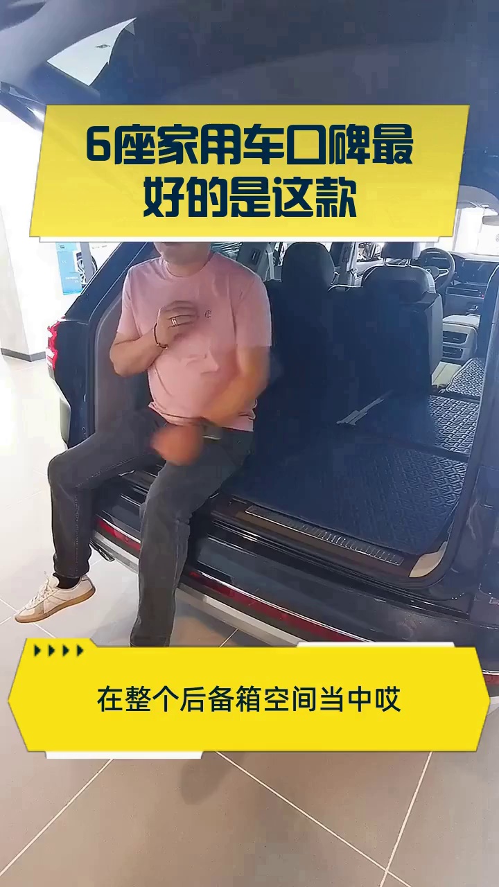 6座家用车口碑最好的是这款