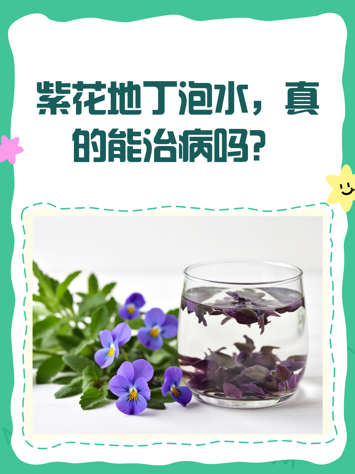 紫花地丁泡水喝,这些功效你知道吗?