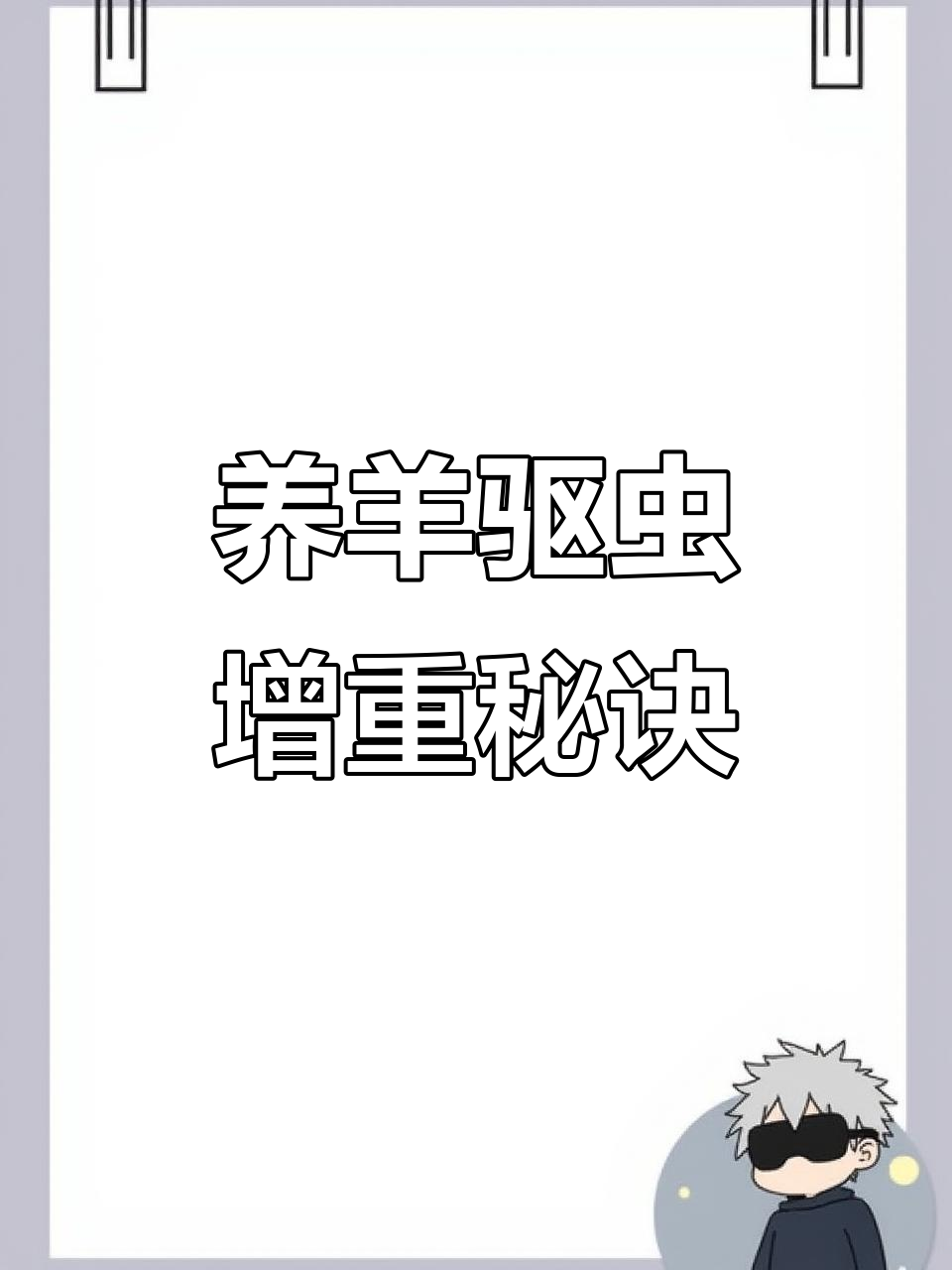 羊群驱虫与增重技巧,土方法让你省钱又高效