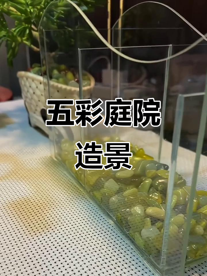 鱼缸花盆造景,五彩斑斓的魔法世界