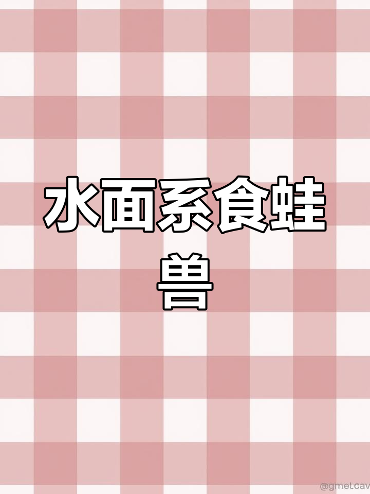 雷龙鱼缸造景,幻红雷龙的日常纹身师生活