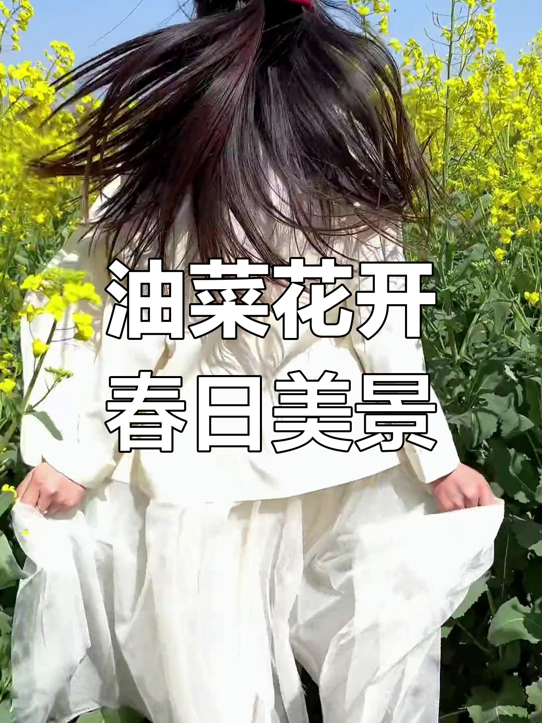 春天里的油菜花,美丽背影如你
