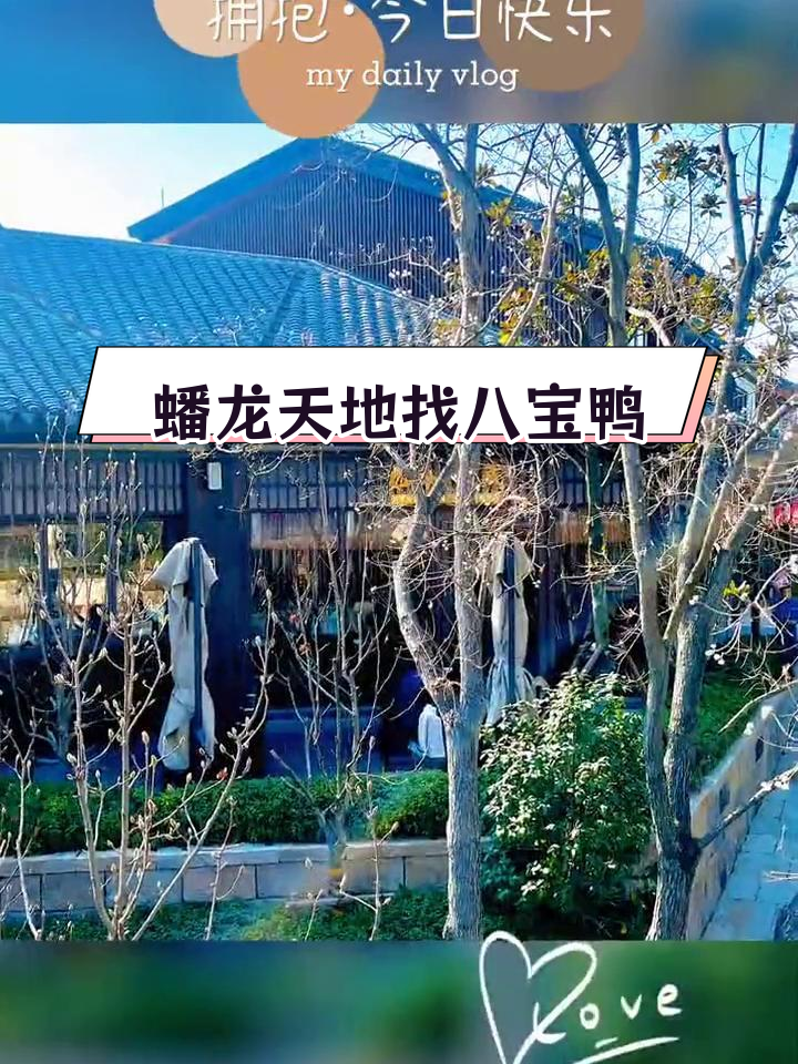 摩登江南古镇寻八宝鸭,意外发现美味
