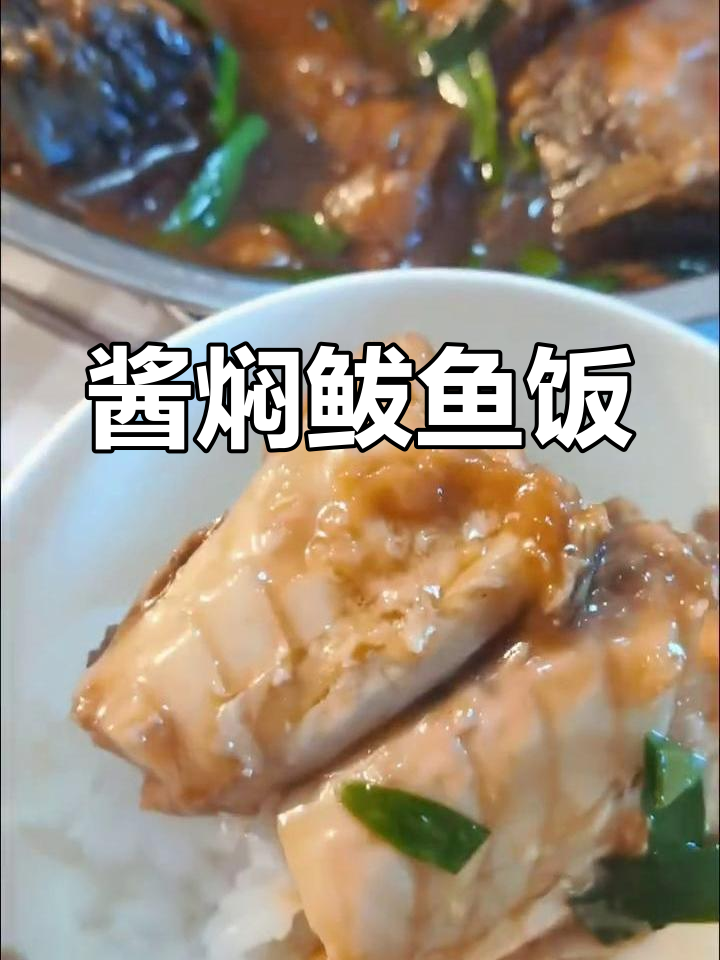 酱香鲅鱼汤配米饭,鲜嫩美味一绝