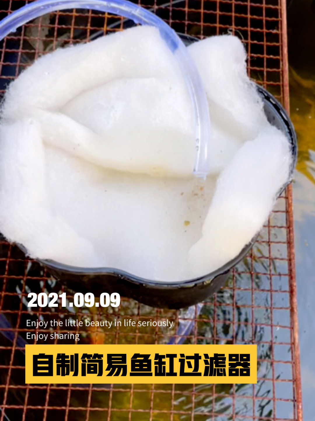 庭院古法养鱼-自制过滤器