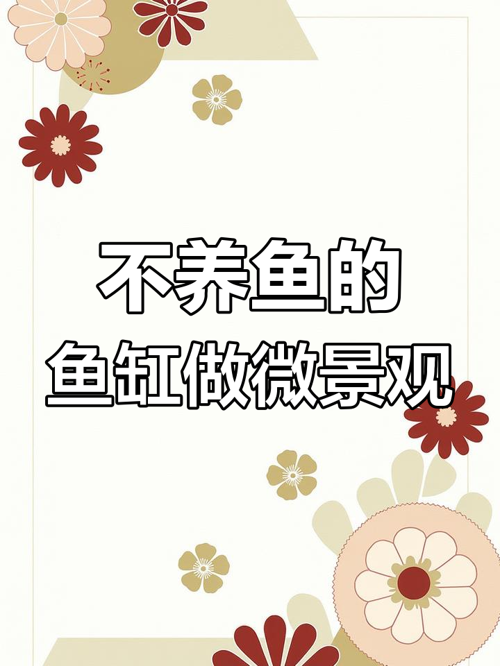 鱼缸不养鱼,变微景观更美观环保