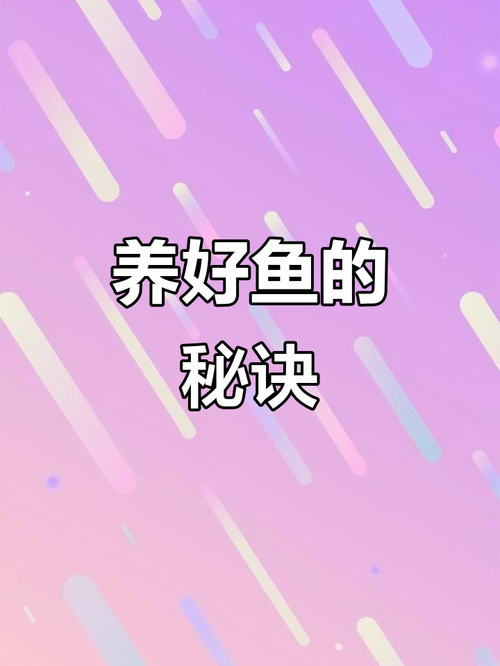 鱼缸过滤系统全解析:如何选择最适合的周转箱