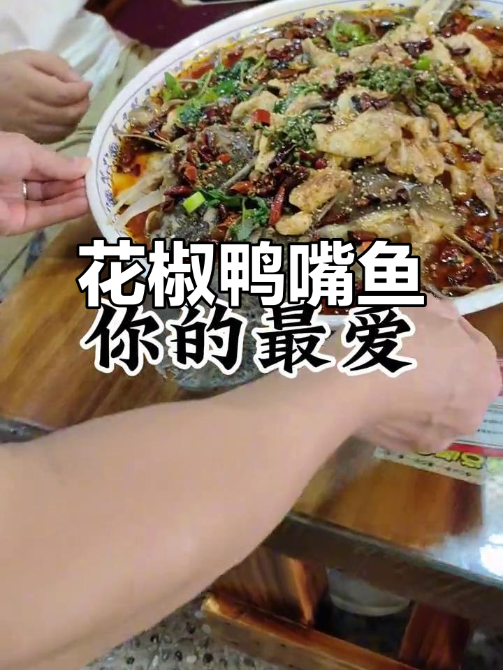 鸭嘴鱼与花椒鱼的完美结合,川菜新风味等你来尝