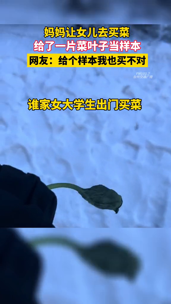 妈妈让女儿去买菜,给了一片菜叶子当样本
