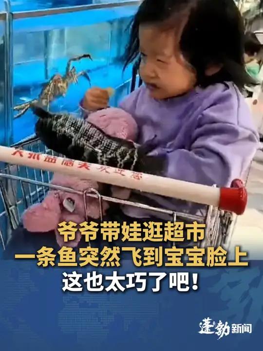 爷爷带娃逛超市刚好走到海鲜区,一条大鱼突然飞出砸到宝宝脸上,孩子奶奶称之前也有鱼蹦出差点打