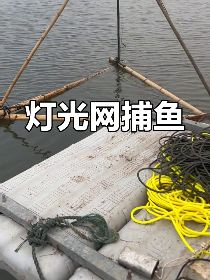渔民捕鱼日常:灯光网抓浮层鱼