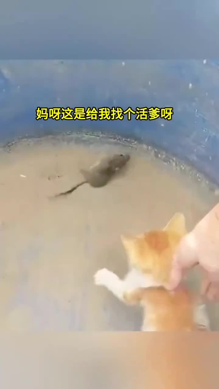 天生本事大爆发,血脉觉醒震撼来袭!