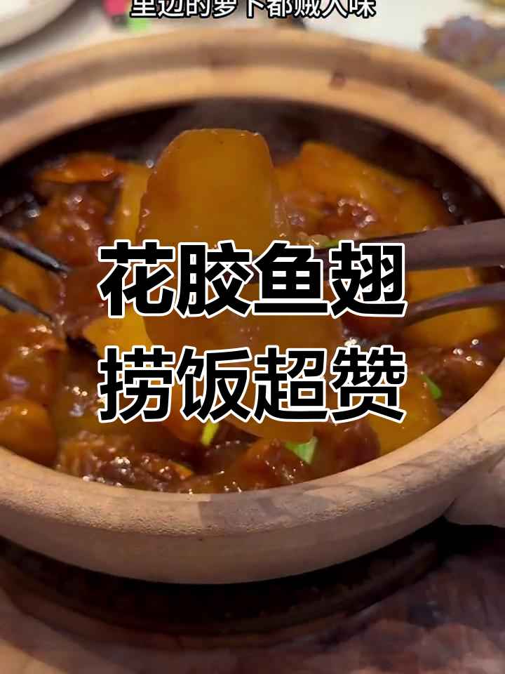 粤菜大快朵颐,花胶鱼翅捞饭必试!