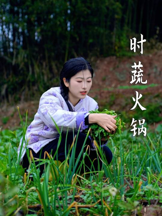 农家冬天该有的味道，刚摘嫩菜做时蔬火锅，蔬菜随便涮