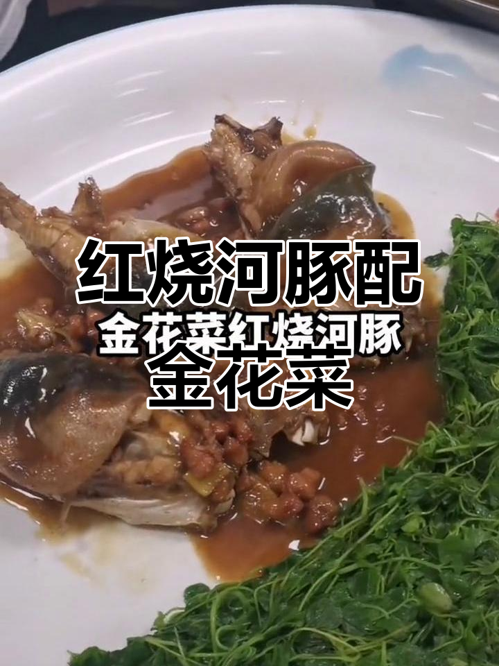 金花菜红烧河豚，鲜香四溢让人无法抗拒