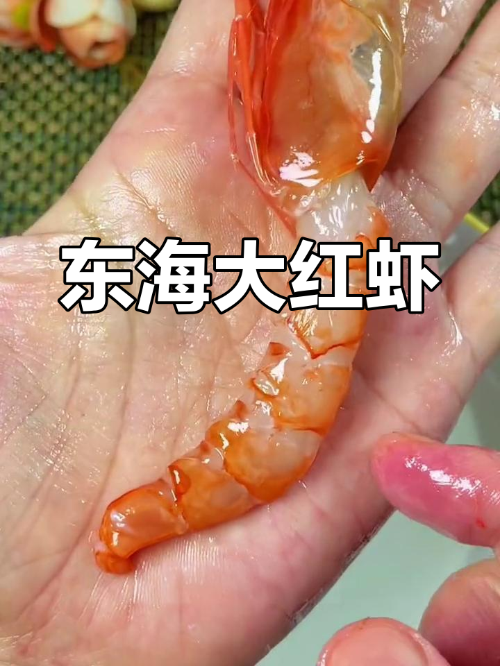 刺身级别大红虾,东海海鲜的珍品